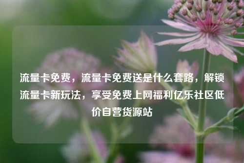 流量卡免费	，流量卡免费送是什么套路，解锁流量卡新玩法，享受免费上网福利亿乐社区低价自营货源站  第1张