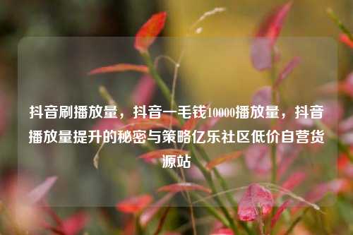 抖音刷播放量	，抖音一毛钱10000播放量，抖音播放量提升的秘密与策略亿乐社区低价自营货源站  第1张