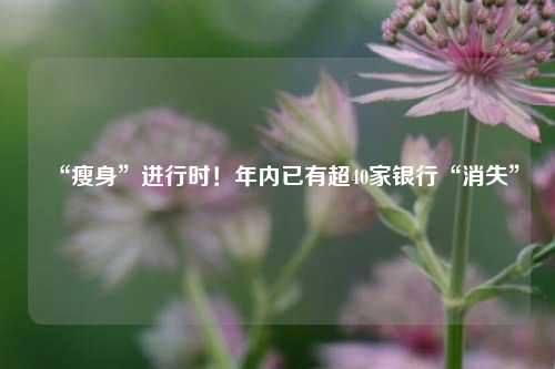 “瘦身”进行时！年内已有超40家银行“消失”  第1张