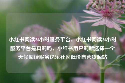 小红书阅读24小时服务平台，小红书阅读24小时服务平台是真的吗，小红书用户的新选择—全天候阅读服务亿乐社区低价自营货源站  第1张