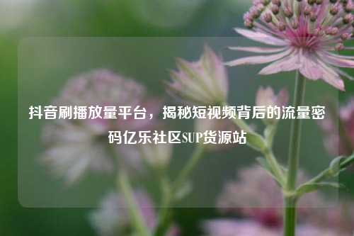 抖音刷播放量平台，揭秘短视频背后的流量密码亿乐社区SUP货源站  第1张