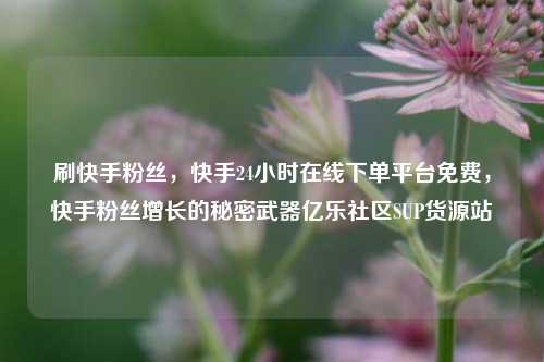 刷快手粉丝，快手24小时在线下单平台免费，快手粉丝增长的秘密武器亿乐社区SUP货源站  第1张