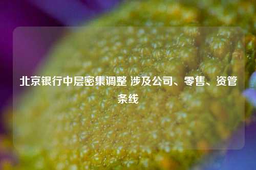 北京银行中层密集调整 涉及公司、零售	、资管条线  第1张
