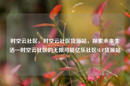 时空云社区	，时空云社区货源站，探索未来生活—时空云社区的无限可能亿乐社区SUP货源站  第1张