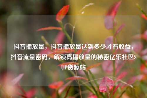 抖音播放量，抖音播放量达到多少才有收益	，抖音流量密码，解锁高播放量的秘密亿乐社区SUP货源站  第1张