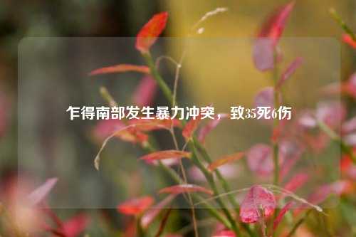 乍得南部发生暴力冲突，致35死6伤  第1张