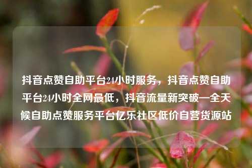 抖音点赞自助平台24小时服务	，抖音点赞自助平台24小时全网最低，抖音流量新突破—全天候自助点赞服务平台亿乐社区低价自营货源站  第1张