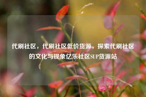 代刷社区，代刷社区低价货源	，探索代刷社区的文化与现象亿乐社区SUP货源站  第1张