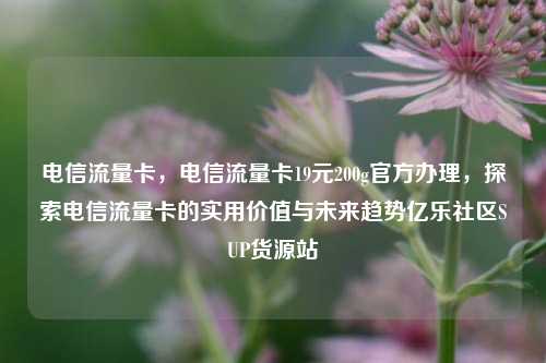 电信流量卡	，电信流量卡19元200g官方办理，探索电信流量卡的实用价值与未来趋势亿乐社区SUP货源站  第1张