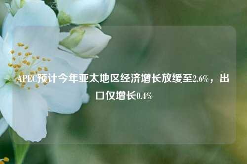 APEC预计今年亚太地区经济增长放缓至2.6%，出口仅增长0.4%  第1张