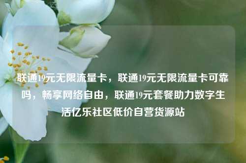 联通19元无限流量卡	，联通19元无限流量卡可靠吗，畅享网络自由，联通19元套餐助力数字生活亿乐社区低价自营货源站  第1张