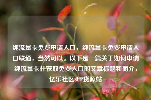 纯流量卡免费申请入口，纯流量卡免费申请入口联通，当然可以。以下是一篇关于如何申请纯流量卡并获取免费入口的文章标题和简介，亿乐社区SUP货源站  第1张