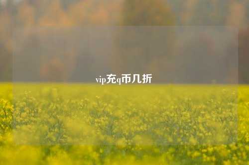 vip充q币几折  第1张