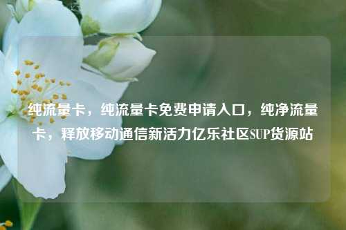 纯流量卡	，纯流量卡免费申请入口，纯净流量卡，释放移动通信新活力亿乐社区SUP货源站  第1张