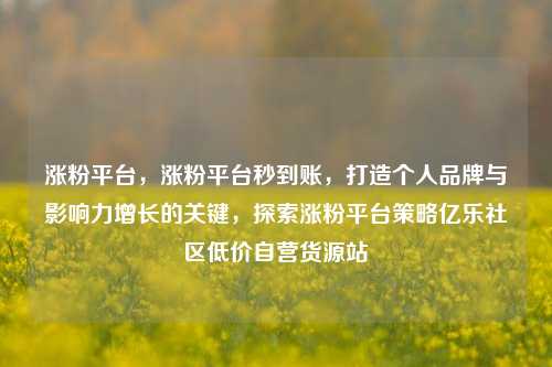 涨粉平台，涨粉平台秒到账，打造个人品牌与影响力增长的关键，探索涨粉平台策略亿乐社区低价自营货源站  第1张