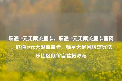 联通19元无限流量卡，联通19元无限流量卡官网	，联通19元无限流量卡，畅享无尽网络盛宴亿乐社区低价自营货源站  第1张