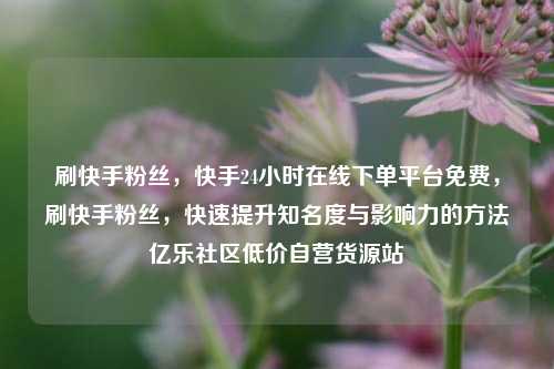 刷快手粉丝，快手24小时在线下单平台免费，刷快手粉丝，快速提升知名度与影响力的方法亿乐社区低价自营货源站  第1张