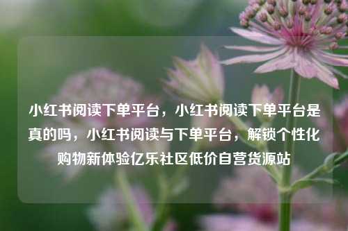 小红书阅读下单平台，小红书阅读下单平台是真的吗，小红书阅读与下单平台，解锁个性化购物新体验亿乐社区低价自营货源站  第1张