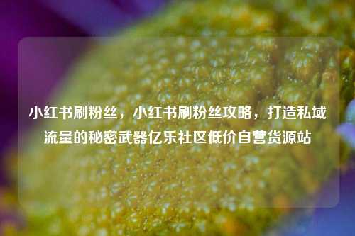 小红书刷粉丝，小红书刷粉丝攻略	，打造私域流量的秘密武器亿乐社区低价自营货源站  第1张
