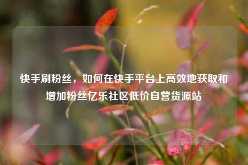 快手刷粉丝，如何在快手平台上高效地获取和增加粉丝亿乐社区低价自营货源站  第1张