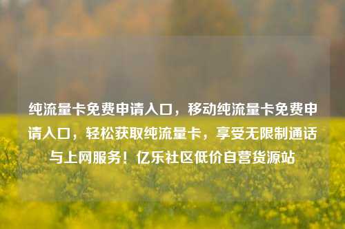 纯流量卡免费申请入口	，移动纯流量卡免费申请入口，轻松获取纯流量卡，享受无限制通话与上网服务！亿乐社区低价自营货源站  第1张