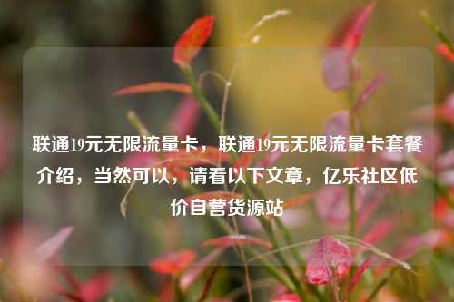 联通19元无限流量卡，联通19元无限流量卡套餐介绍，当然可以，请看以下文章	，亿乐社区低价自营货源站  第1张