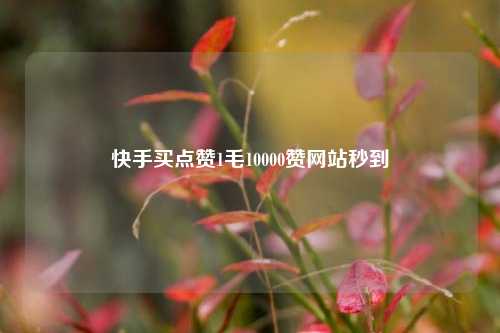 快手买点赞1毛10000赞网站秒到  第1张