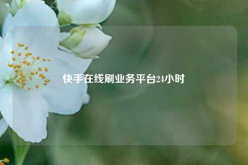 快手在线刷业务平台24小时  第1张