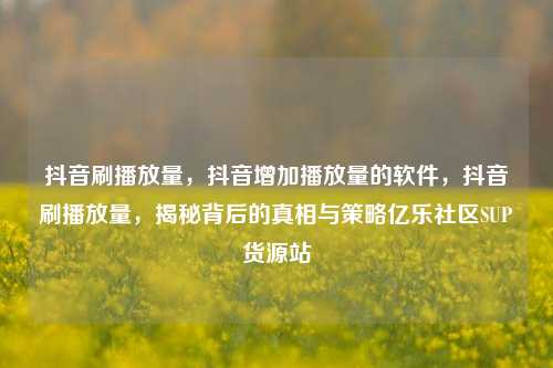 抖音刷播放量，抖音增加播放量的软件	，抖音刷播放量，揭秘背后的真相与策略亿乐社区SUP货源站  第1张