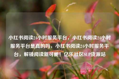 小红书阅读24小时服务平台，小红书阅读24小时服务平台是真的吗，小红书阅读24小时服务平台	，解锁阅读新可能！亿乐社区SUP货源站  第1张