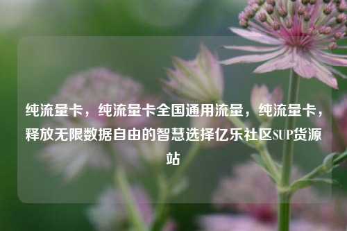 纯流量卡	，纯流量卡全国通用流量，纯流量卡，释放无限数据自由的智慧选择亿乐社区SUP货源站  第1张