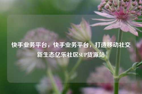 快手业务平台，快手业务平台，打造移动社交新生态亿乐社区SUP货源站  第1张