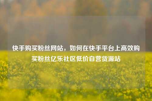 快手购买粉丝网站	，如何在快手平台上高效购买粉丝亿乐社区低价自营货源站  第1张