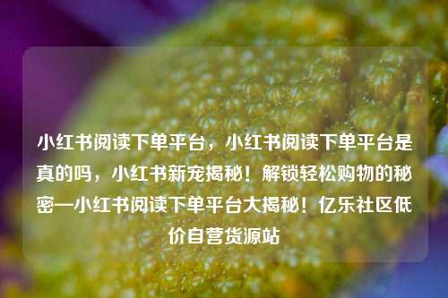小红书阅读下单平台	，小红书阅读下单平台是真的吗，小红书新宠揭秘！解锁轻松购物的秘密—小红书阅读下单平台大揭秘！亿乐社区低价自营货源站  第1张