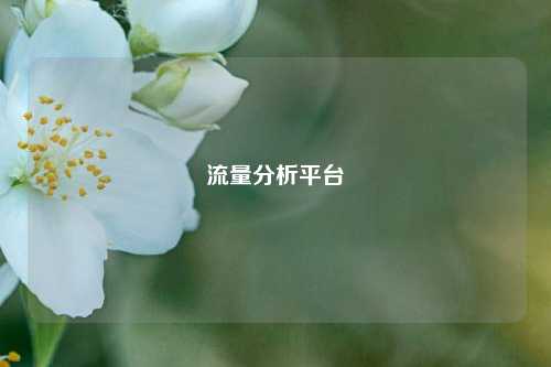 流量分析平台  第1张