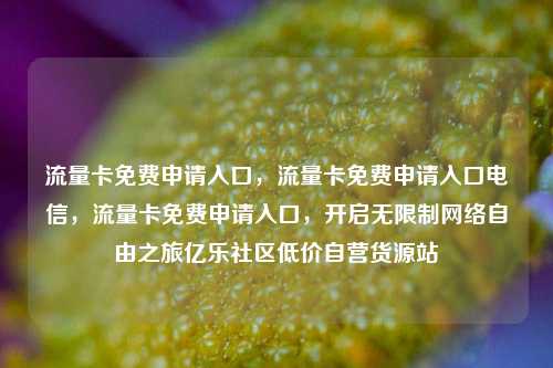 流量卡免费申请入口，流量卡免费申请入口电信	，流量卡免费申请入口，开启无限制网络自由之旅亿乐社区低价自营货源站  第1张