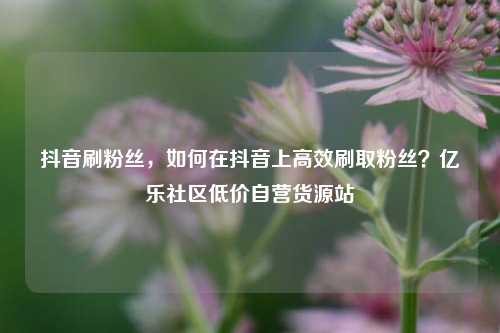 抖音刷粉丝，如何在抖音上高效刷取粉丝？亿乐社区低价自营货源站  第1张
