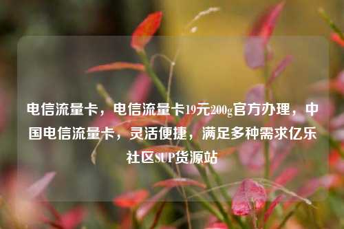 电信流量卡，电信流量卡19元200g官方办理	，中国电信流量卡，灵活便捷，满足多种需求亿乐社区SUP货源站  第1张