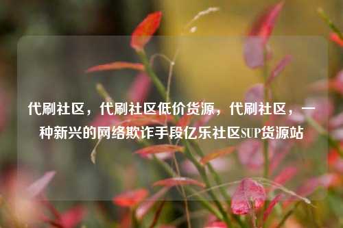 代刷社区，代刷社区低价货源	，代刷社区，一种新兴的网络欺诈手段亿乐社区SUP货源站  第1张