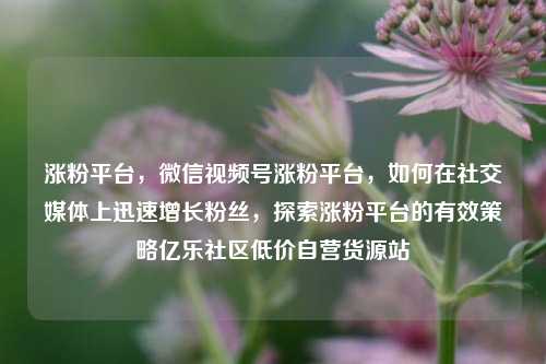 涨粉平台，微信视频号涨粉平台	，如何在社交媒体上迅速增长粉丝，探索涨粉平台的有效策略亿乐社区低价自营货源站  第1张
