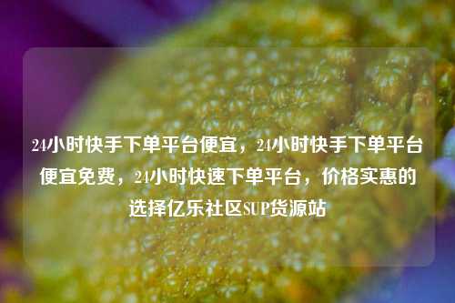 24小时快手下单平台便宜，24小时快手下单平台便宜免费	，24小时快速下单平台，价格实惠的选择亿乐社区SUP货源站  第1张