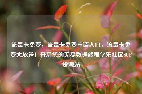 流量卡免费，流量卡免费申请入口	，流量卡免费大放送！开启您的无尽数据旅程亿乐社区SUP货源站  第1张