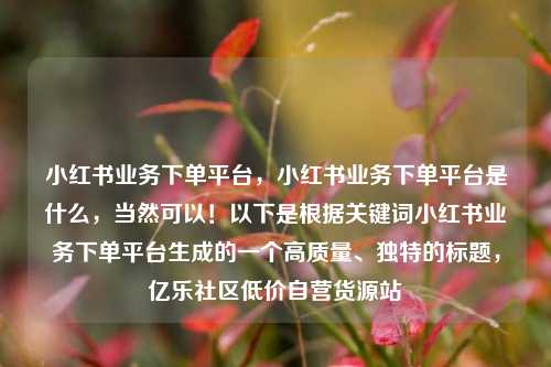小红书业务下单平台，小红书业务下单平台是什么，当然可以！以下是根据关键词小红书业务下单平台生成的一个高质量	、独特的标题	，亿乐社区低价自营货源站  第1张