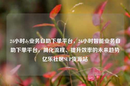 24小时dy业务自助下单平台，24小时智能业务自助下单平台，简化流程	、提升效率的未来趋势亿乐社区SUP货源站  第1张
