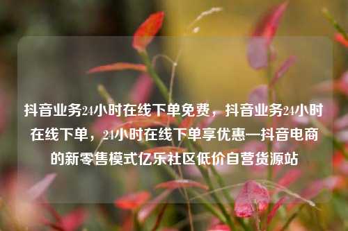 抖音业务24小时在线下单免费，抖音业务24小时在线下单	，24小时在线下单享优惠—抖音电商的新零售模式亿乐社区低价自营货源站  第1张