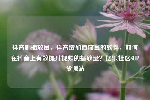 抖音刷播放量，抖音增加播放量的软件，如何在抖音上有效提升视频的播放量？亿乐社区SUP货源站  第1张