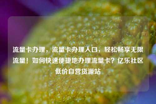 流量卡办理，流量卡办理入口	，轻松畅享无限流量！如何快速便捷地办理流量卡？亿乐社区低价自营货源站  第1张