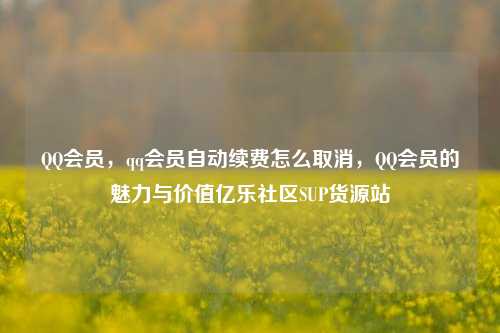 QQ会员	，qq会员自动续费怎么取消，QQ会员的魅力与价值亿乐社区SUP货源站  第1张
