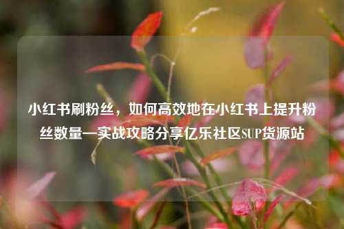小红书刷粉丝	，如何高效地在小红书上提升粉丝数量—实战攻略分享亿乐社区SUP货源站  第1张