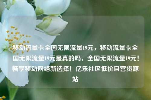 移动流量卡全国无限流量19元，移动流量卡全国无限流量19元是真的吗，全国无限流量19元！畅享移动网络新选择！亿乐社区低价自营货源站  第1张